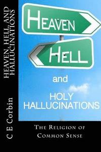 bokomslag Heaven Hell and Holy Hallucinations: The Religion of Common Sense