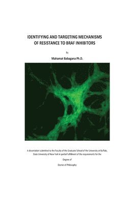 bokomslag Identifying and Targeting Mechanisms of Resistance to BRAF Inhibitors