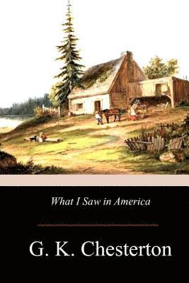 bokomslag What I Saw in America