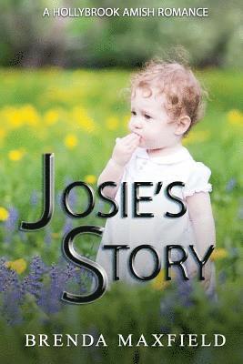 bokomslag Amish Romance: Josie's Story: A Hollybrook Amish Romance Bundle