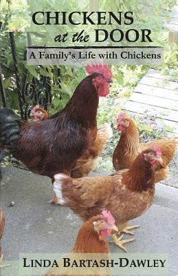 bokomslag Chickens at the Door: A Family's Life With Chickens