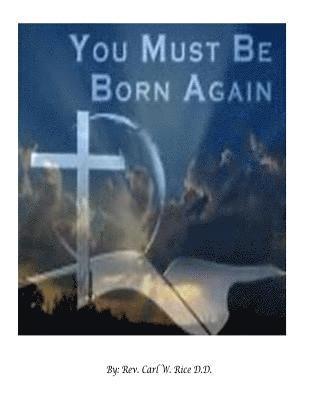 bokomslag You Must Be Born Again