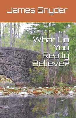 What Do You Really Believe? 1