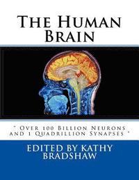bokomslag The Human Brain: ' Over 100 Billion Neurons and 1 Quadrillion Synapses '