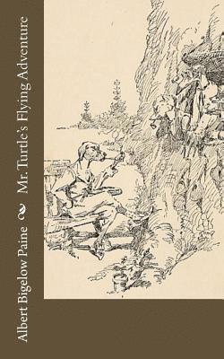 Mr. Turtle's Flying Adventure