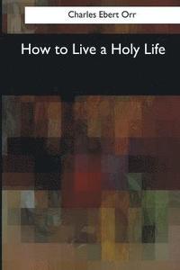 bokomslag How to Live a Holy Life