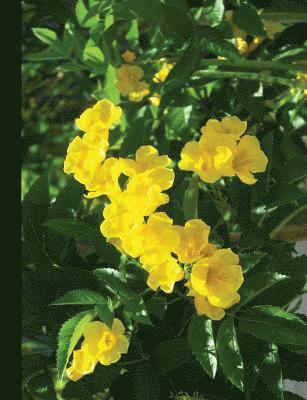 Zweig Publishing, Gilded Penguin - Cats Claw Vine Notebook, Wide Ruled_100 Sheets-200 Pages_9.75 X 7.5, Häftad