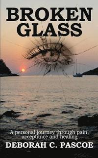 bokomslag Broken Glass: A Personal Journey Through Pain Acceptance and Healing