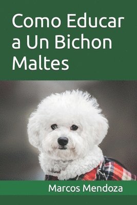 Como Educar a Un Bichon Maltes 1