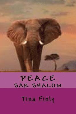 Peace: Sar Shalom 1