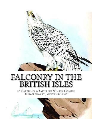bokomslag Falconry in the British Isles
