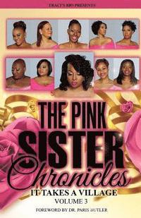 bokomslag Traci's Bio Present The Pink Sister Chronicles 3