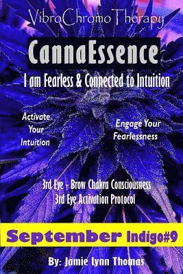 bokomslag VibroChromoTherapy Indigo: Activate Your Fearless Intuition