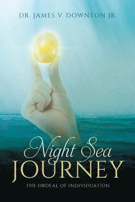 bokomslag Night Sea Journey: The Ordeal of Individuation