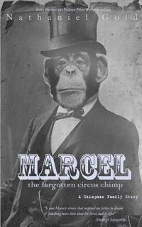 bokomslag Marcel the Forgotten Circus Chimp: A Chimpman Family Story
