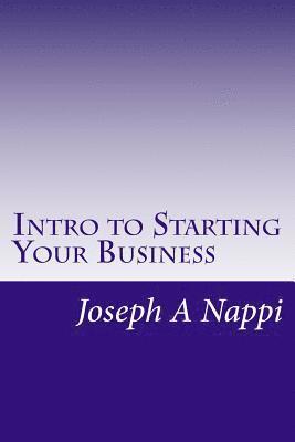 bokomslag Intro to Starting Your Business