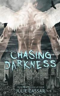 bokomslag Chasing Darkness