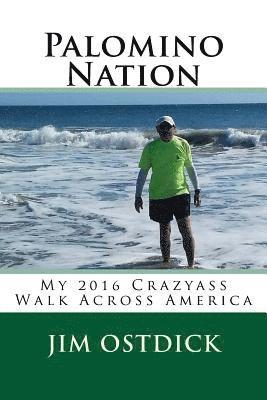 bokomslag Palomino Nation: My 2016 Crazyass Walk Across America