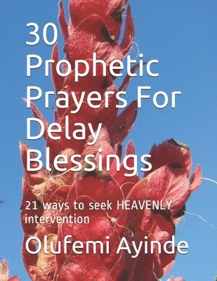 30 Prophetic Prayers For Delay Blessings: 21 ways to seek HEAVENLY intervention in THE BIBLE 1