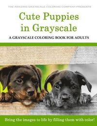 bokomslag Cute Puppies: A Grayscale Coloring Book for Adults