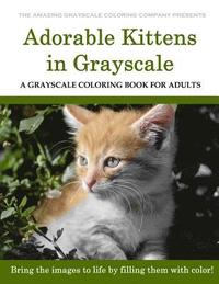 bokomslag Adorable Kittens: A Grayscale Coloring Book for Adults