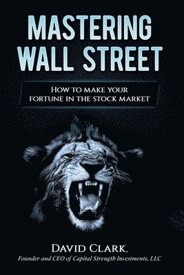 David A. Clark - Mastering Wall Street: How to make your fortune in the stock market, Häftad
