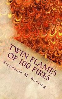 bokomslag Twin Flames of 100 Fires: 11:11