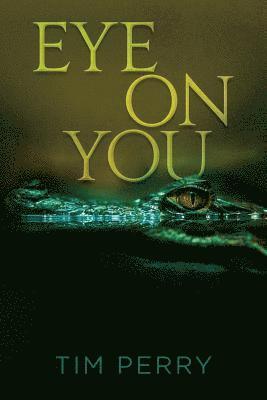 bokomslag Eye On You
