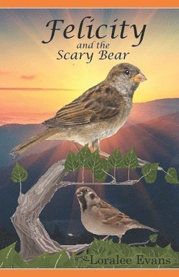 bokomslag Felicity and the Scary Bear
