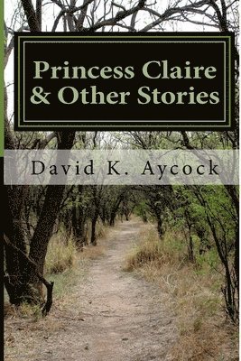 bokomslag Princess Claire & Other Stories