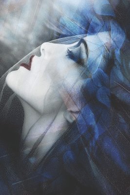 Mindy Baker - ShadowHouse Series: Finding Sanity Volume 1, Häftad