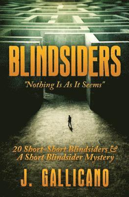 bokomslag Blindsiders: Nothing Is As it Seems