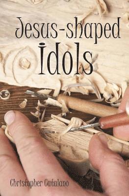bokomslag Jesus-Shaped Idols