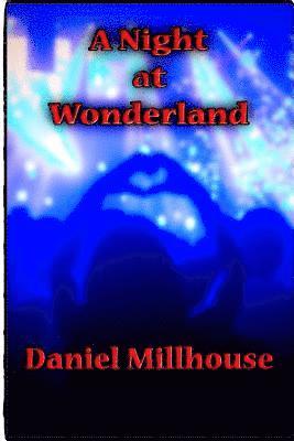 bokomslag Night at Wonderland