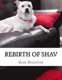 bokomslag Rebirth of Shav