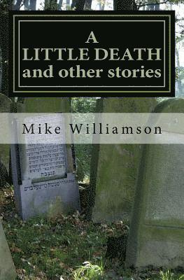 Mike Williamson - A LITTLE DEATH and other stories, Häftad