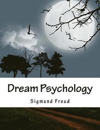 bokomslag Dream Psychology