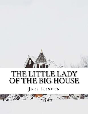 bokomslag The Little Lady of the Big House