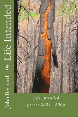Life Intended: prose: 2004-2006