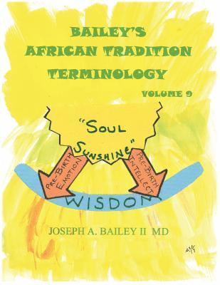 bokomslag Bailey's AFRICAN TRADITION TERMINOLOGY-VOLUME 9