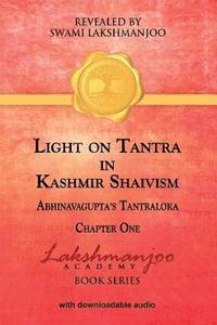 bokomslag Light on Tantra in Kashmir Shaivism: Chapter One of Abhinavagupta's Tantraloka