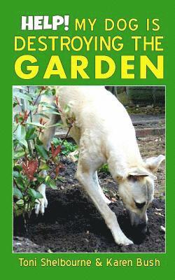 Help! My Dog is Destroying the Garden 1