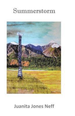 Juanita Jones Neff - Summerstorm, Häftad