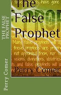 bokomslag The False Prophet