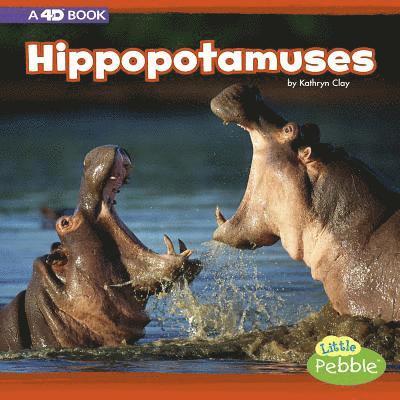 Kathryn Clay - Hippopotamuses: A 4D Book, Inbunden