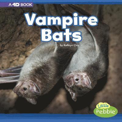 Kathryn Clay - Vampire Bats: A 4D Book, Inbunden