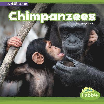 Kathryn Clay - Chimpanzees: A 4D Book, Inbunden