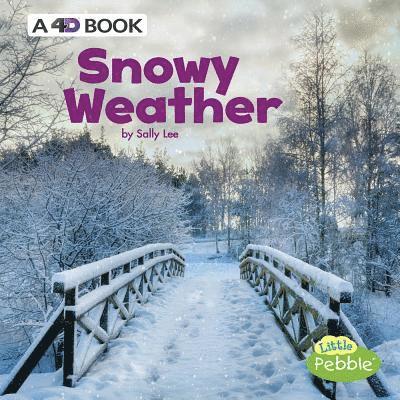 Sally Lee - Snowy Weather: A 4D Book, Inbunden