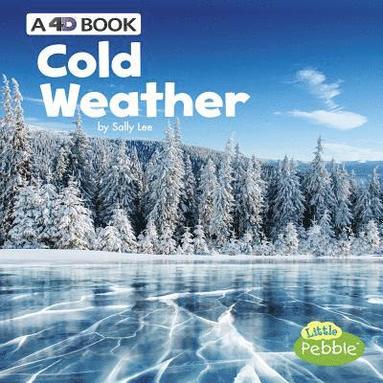 Sally Lee - Cold Weather: A 4D Book, Inbunden