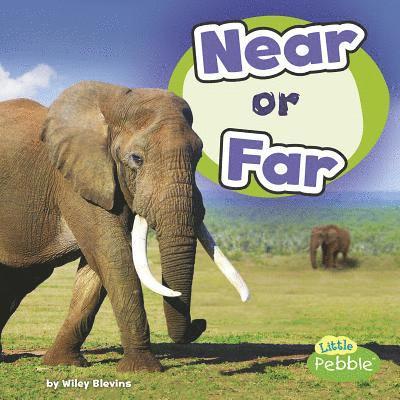 Wiley Blevins - Near or Far, Inbunden